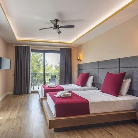 Private Luxury With Large Pool, Jacuzzi And Barbecue In Oeluedeniz Willa Fethiye