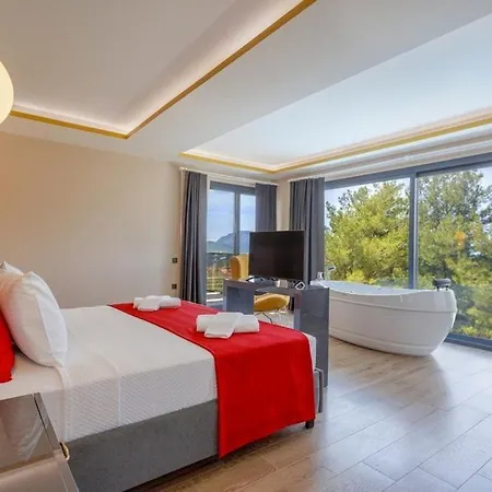 Private Luxury With Large Pool, Jacuzzi And Barbecue In Oeluedeniz Fethiye