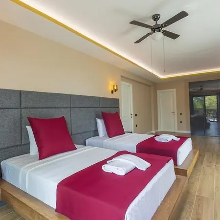 Villa Private Luxury With Large Pool, Jacuzzi And Barbecue In Oeluedeniz *